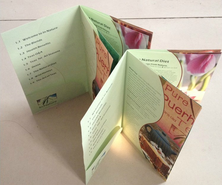 企業(yè)畫(huà)冊(cè)印刷 彩色樣本 宣傳單印刷 說(shuō)明書(shū)海報(bào) 宣傳冊(cè)印刷品定制